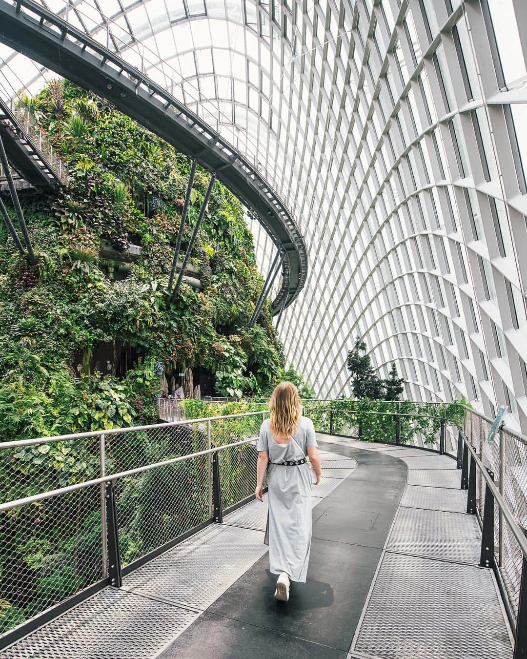 instagoodさんのインスタグラム写真 - (instagoodInstagram)「@headshotbe Could walk here all day 💃🏼 @jannealers  #cloudforest #singapore #visitsingapore #chasingourworld #teamnikon」5月6日 22時22分 - instagood