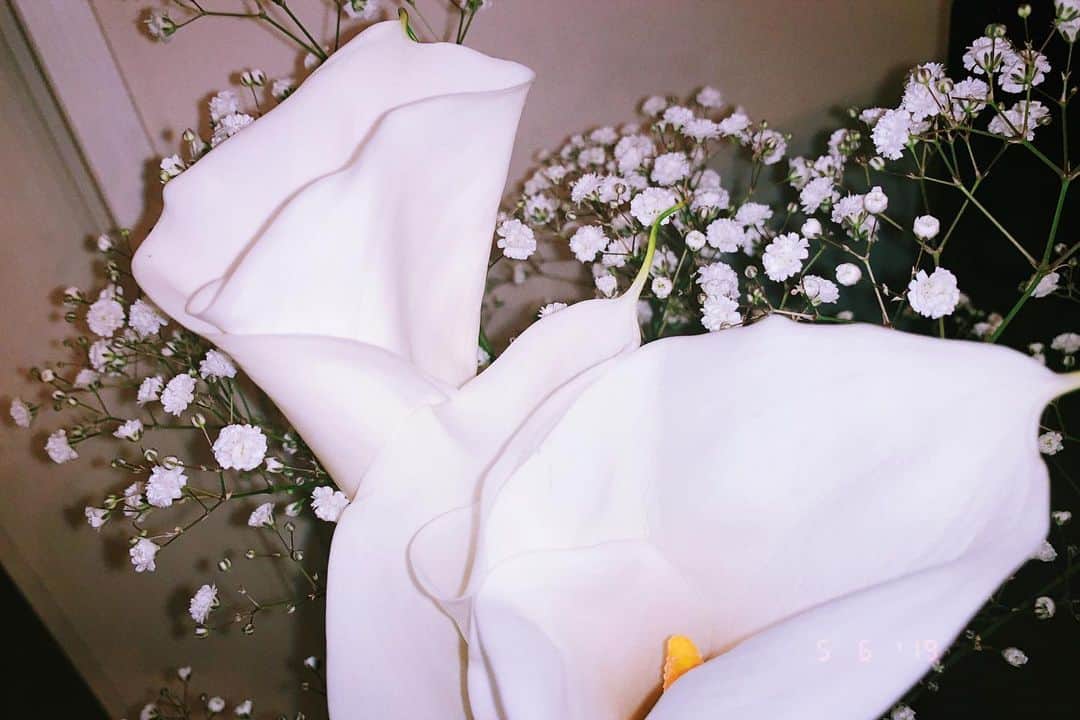 志村禎雄さんのインスタグラム写真 - (志村禎雄Instagram)「花瓶にお花さんを。  カラー × かすみ草 ❀❀❀ とてもとてもかわいい。」5月6日 22時23分 - s.dao_