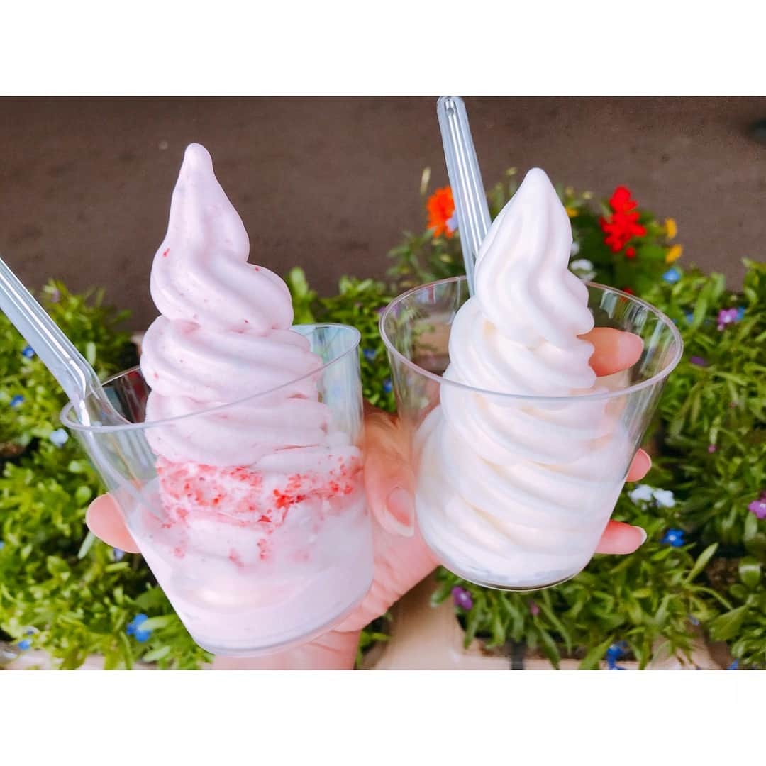 吉竹史のグルメインスタ