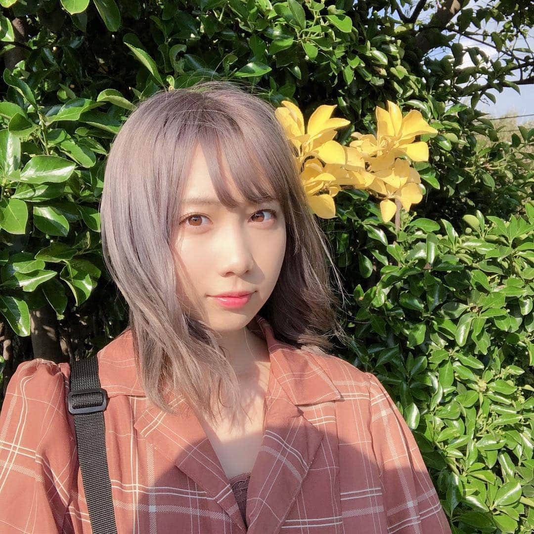 きりたんぽさんのインスタグラム写真 - (きりたんぽInstagram)「この黄色いのお花に見えるでしょ？ 違うの！黄色い葉っぱなのwww . .  てか、髪色いい色すぎない？ アメジストグレージュに染めました❤ 安定の小池さん @lewinxiaochi . . インスタフォロワーすごく増えてて わたちうれしい🥺🧚🏻‍♀️」5月6日 22時34分 - kiritampopopo