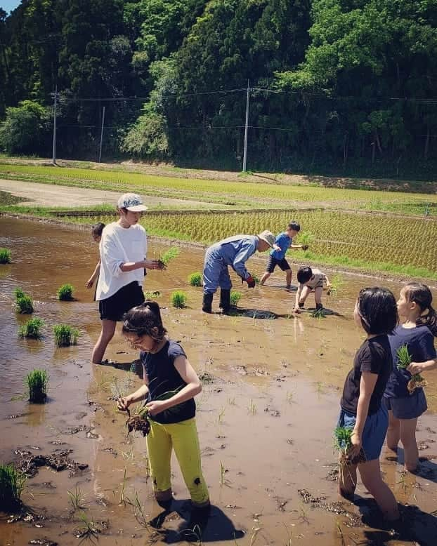 西山茉希さんのインスタグラム写真 - (西山茉希Instagram)「楽しんで欲しいときは、 まず自分が楽しむこと。  #俺流母ちゃん #田植えバージョン  苦手なカエルがキッズ軍団から飛んでくる。  #田んぼの中心でやめてと叫ぶ  誰よりも先に泥だらけになったのは、 大人なはずの自分だった。  #こーやって楽しむんだよ #今を全力で感じるんだよ #😏 一番先にカエルを投げてきたのは、 子供ではなくもう一人の大人だったことはわかっている。  #田植えに飽きるまでが早すぎなキッズ軍団 #やりとげる責任感だけは大人らしく持ち合わせていた親ーズ  10連休。 令和スタートなGWにピリオドを。」5月6日 22時39分 - maki.nshiyama50