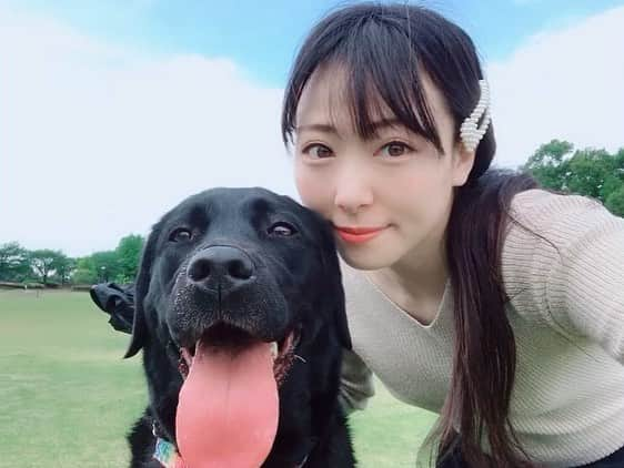 熊谷知花さんのインスタグラム写真 - (熊谷知花Instagram)「大好きな愛犬モナちゃん❤️﻿ ﻿ お散歩一緒にいっぱいしたよ✨﻿ ﻿ 甘えん坊さんで可愛いいの☺️💕﻿ ﻿ #愛犬 #ラブラドール #ラブラドールレトリバー」5月6日 22時53分 - kumagai.chika