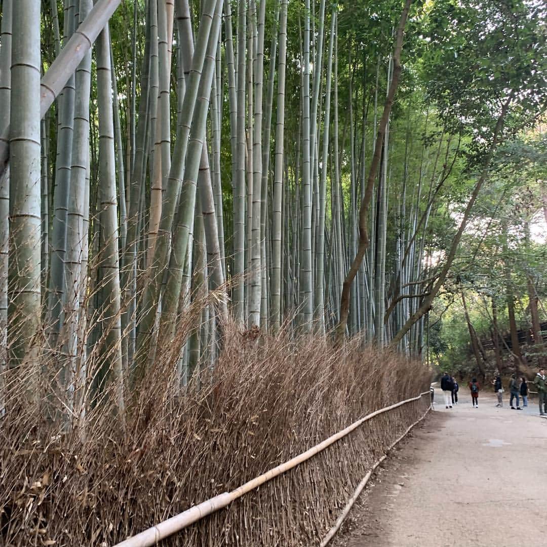 梅村奈央さんのインスタグラム写真 - (梅村奈央Instagram)「お仕事で着物を着させていただきました👘 二日間京都で撮影したけど楽しかったなぁ…🥰 #tabilabo」5月6日 23時12分 - umemuranao