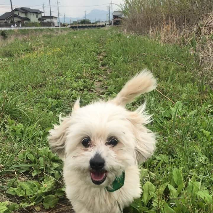 阿久津ゆりえのインスタグラム