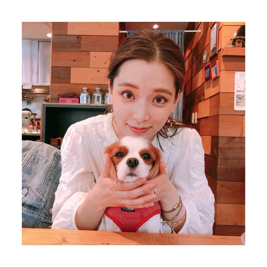 桜めいのグルメインスタ