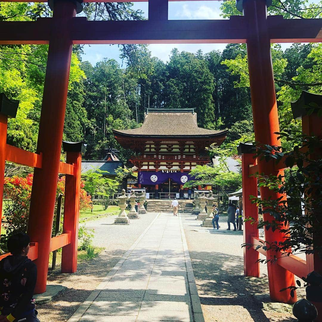 千原せいじさんのインスタグラム写真 - (千原せいじInstagram)「丹生都比売神社 #千原せいじ #丹生都比売神社 #高野山 #世界遺産」5月6日 14時34分 - chiharaseiji