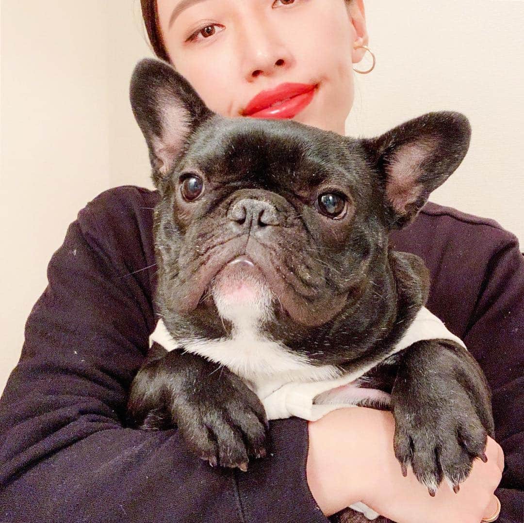 RIKAPEPEのインスタグラム：「ウナギ抱っこシリーズ。こんなに大きくなりました。来週で1歳になります🐖🥰」