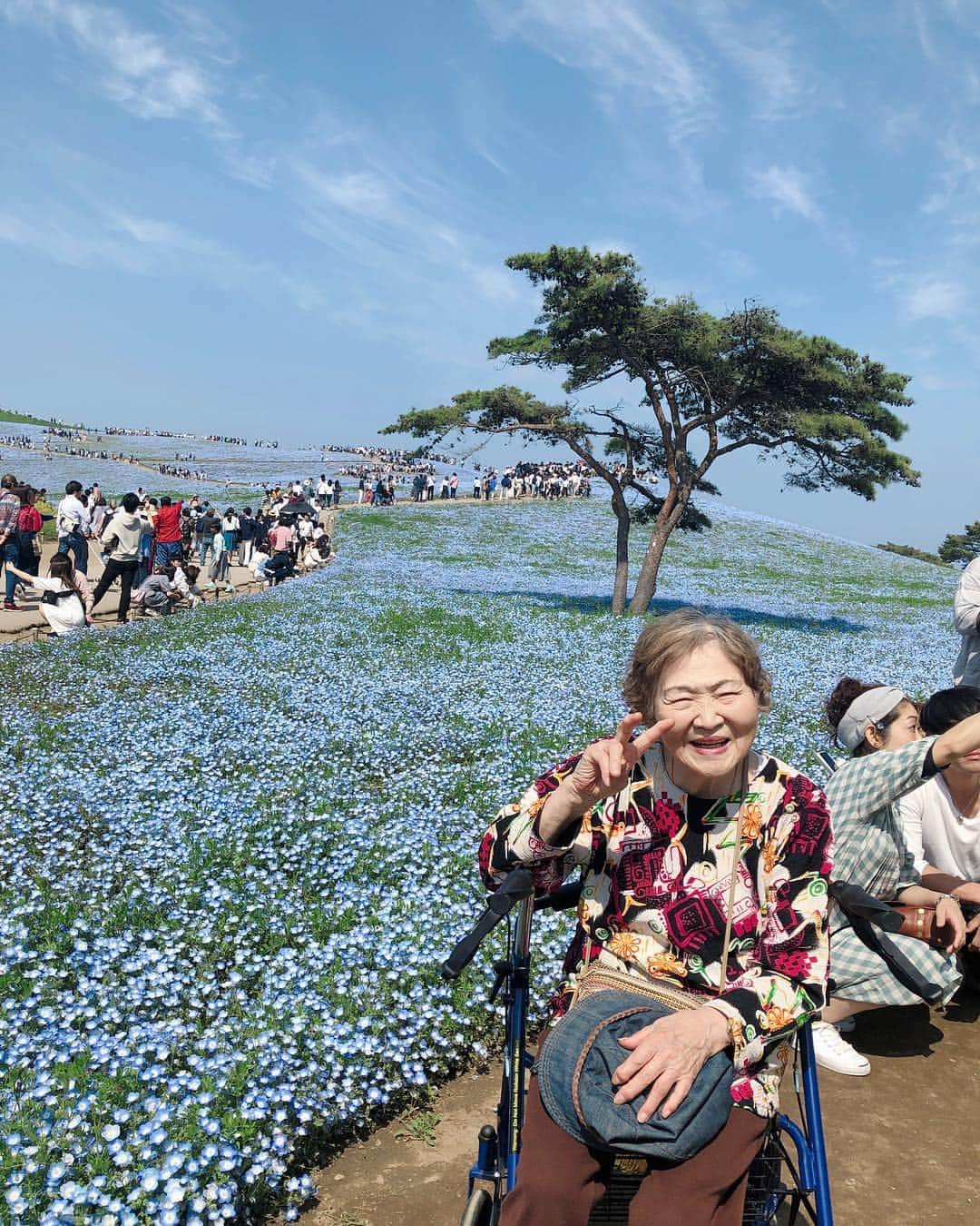 吉田愛璃さんのインスタグラム写真 - (吉田愛璃Instagram)「. . 5.5はおばあちゃんの84歳の誕生日でした🎂  母と一緒にひたち海浜公園へ🚗 ³₃  GWだし混んでたけどネモフィラの丘がとーっても綺麗でした💙💙💙👏👏👏 . 変なピースサインのおばあちゃんかわいい🤣💕 . 式もあるし、まだまだおばあちゃんには長生きしてもらわなきゃね🤞🤞 .  #おばあちゃん #おばあちゃん誕生日 #おばあちゃん孝行 #ひたち海浜公園 #ネモフィラ #春満喫 #日本の四季 #teddy連れてけばよかった  #リベンジする #納豆フランク美味しかった #二の腕痩せたい #ぷにぷにすぎる」5月6日 15時12分 - eriyoshida0314