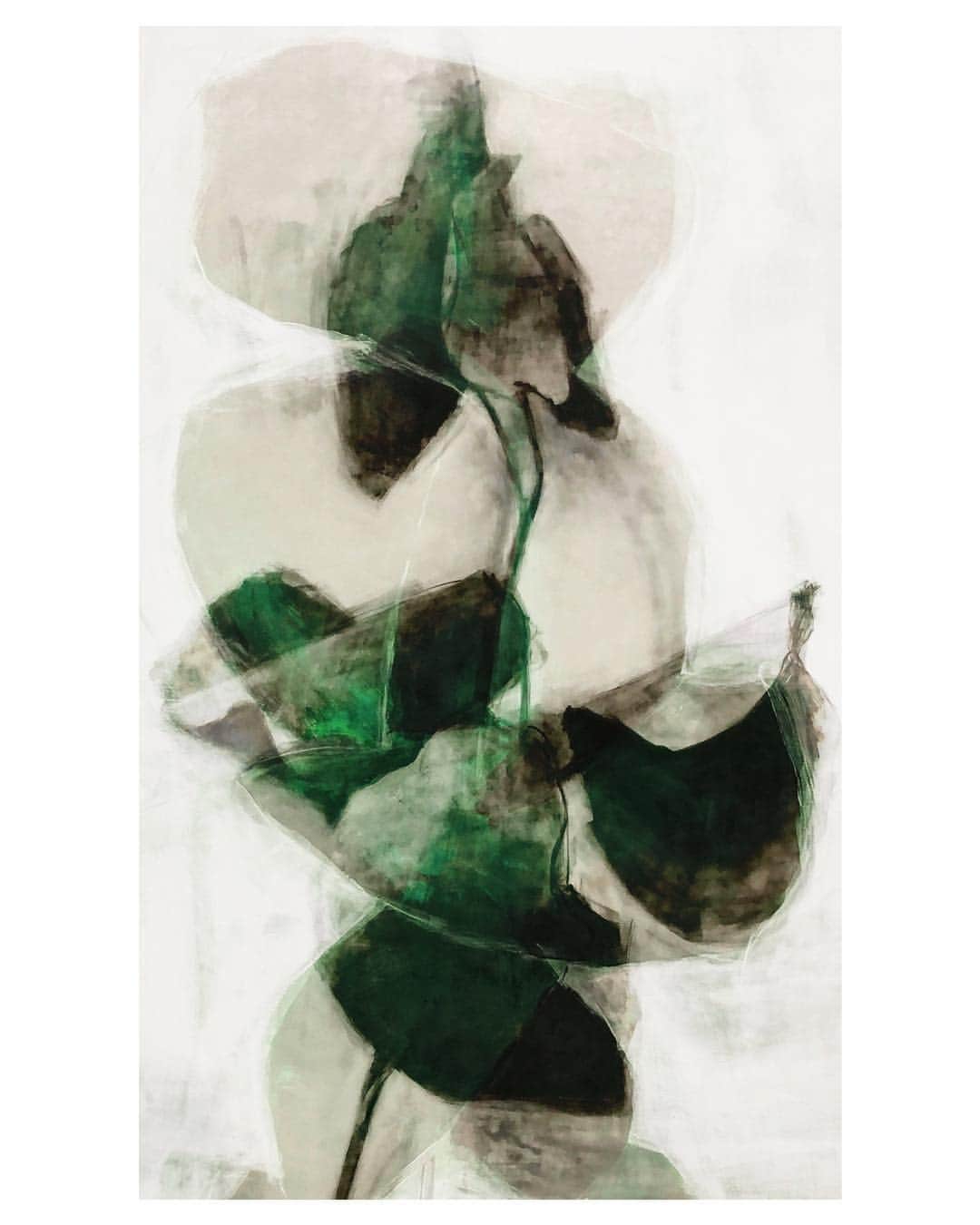 Uzo Hiramatsuさんのインスタグラム写真 - (Uzo HiramatsuInstagram)「Experiment  This image is a composite of two paintings using a personal computer. #fukuoka#artwork#contemporaryart#abstraction#painting#drawing」5月6日 15時04分 - uzo_hiramatsu