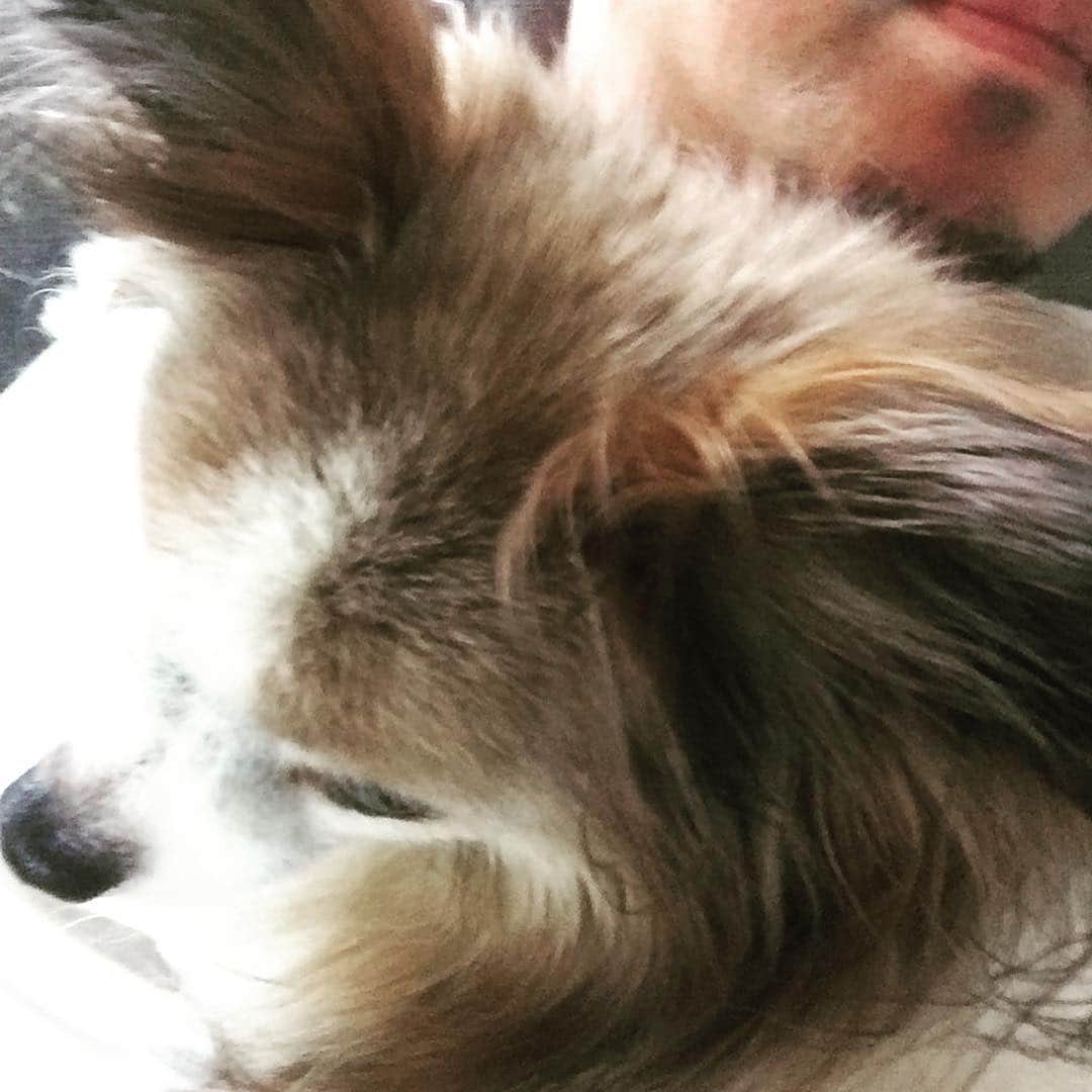 栗原英雄さんのインスタグラム写真 - (栗原英雄Instagram)「息子ワイリー  朝起きてすぐ抱っこをおねだり、、隣に寝てるのに 二人分の抱っこなのかな」5月6日 15時33分 - hideokurihara