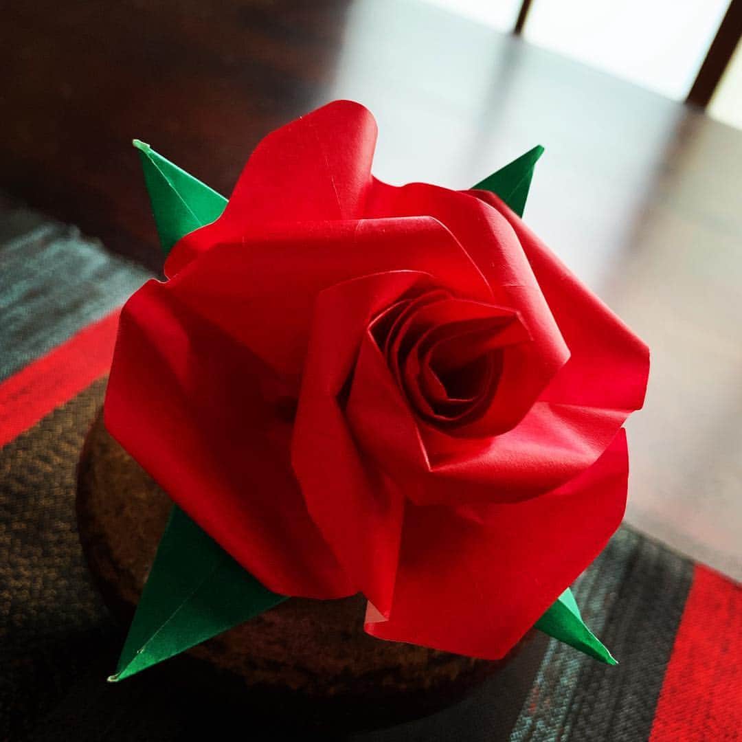 有森裕子さんのインスタグラム写真 - (有森裕子Instagram)「こんなに素敵な 折り紙 薔薇🌹❣️」5月6日 15時47分 - arimori.yuko33