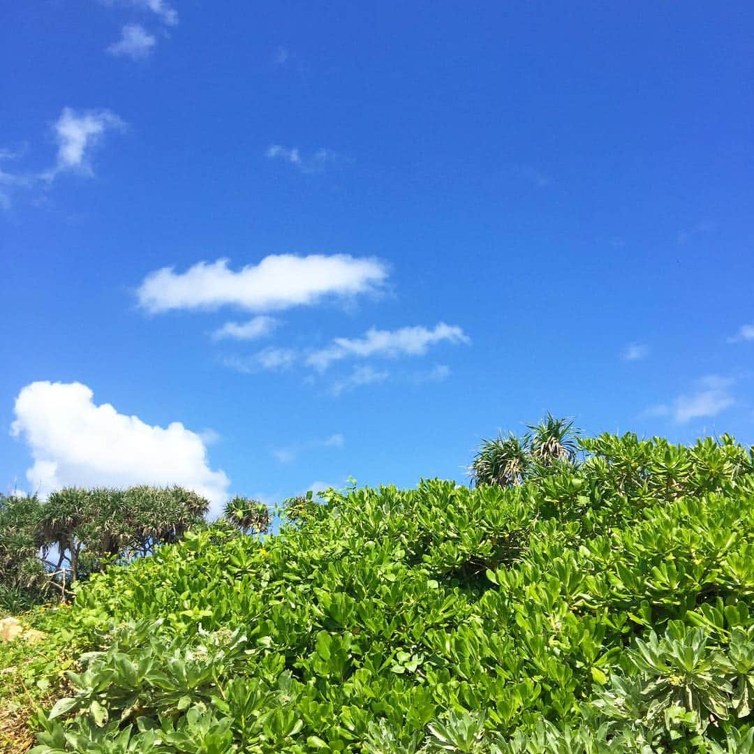のインスタグラム：「#沖永良部島 #故郷 #時代や人は変わっても #この景色はずっと変わらない #この島に生まれてよかった」