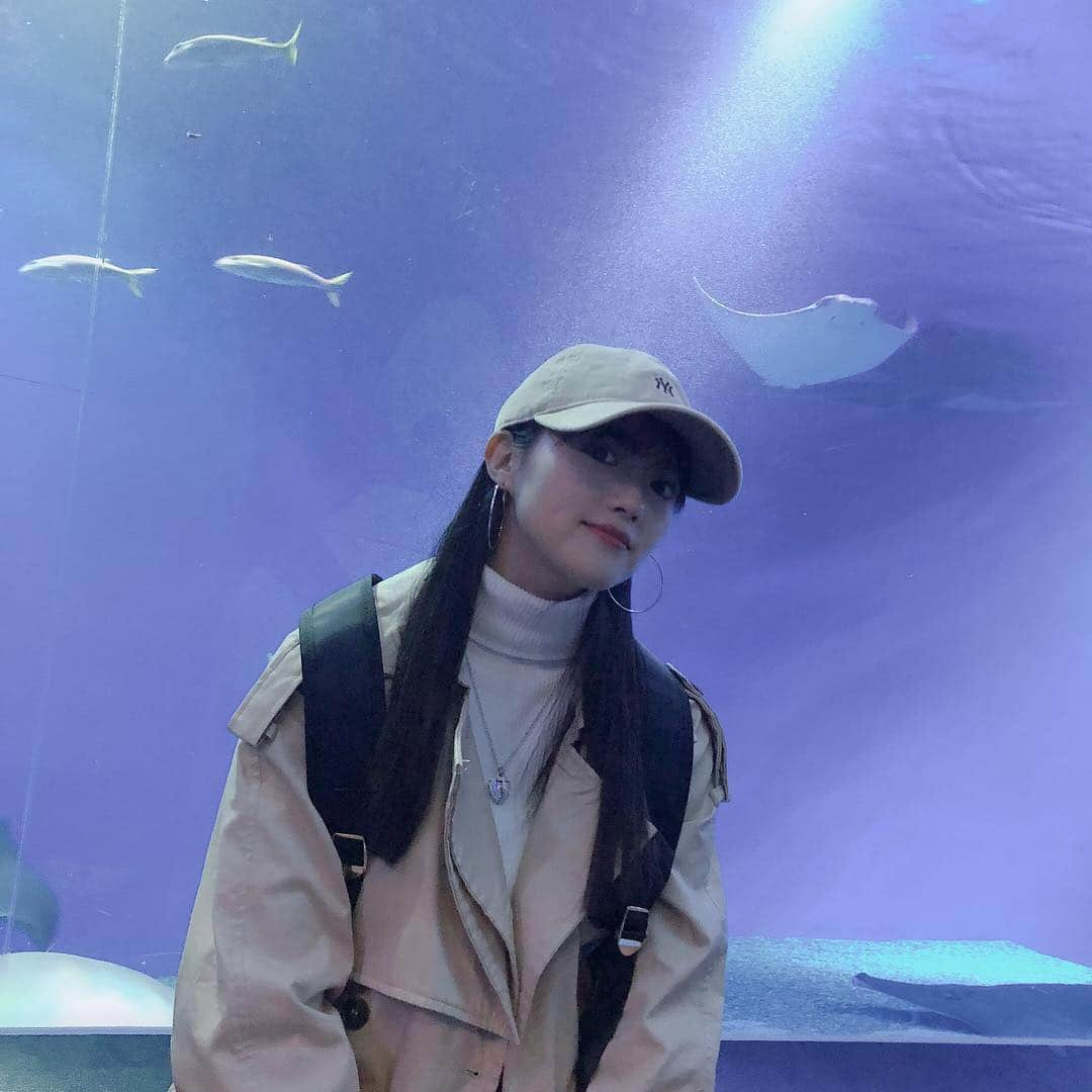 木本花音さんのインスタグラム写真 - (木本花音Instagram)「🐠🐬🐟🐋🦈🐳 #水族館 #수족관 #aquarium」5月6日 15時49分 - nonnonkanon9811