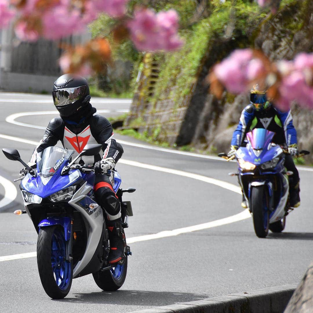 ヤマハ バイクさんのインスタグラム写真 - (ヤマハ バイクInstagram)「「YZF-R3/R25 オーナーズフォトツアー」 #4月27日#広島#めがひらスキー場 第6駐車場#開催しました #参加無料 #写真好きな人と繋がりたい #YZFR25#YZFR3 #オーナーズフォトツアー 次回は #5月11日#京都#日吉ダム 駐車場 #ヤマハが好きならどなたでも参加OK #R25を晒す#R3を晒す #japanriders #bike_japan」5月6日 15時51分 - yamaha_bike