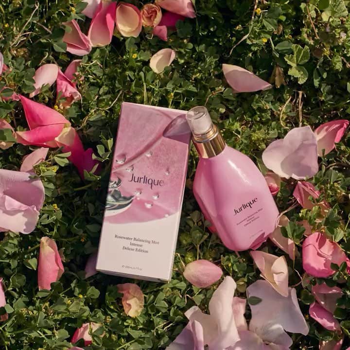 Jurlique Japanのインスタグラム