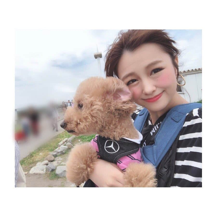 相田瑠菜さんのインスタグラム写真 - (相田瑠菜Instagram)「#gw 最終日の #朝活 は #愛犬  マロンくん ルビーさん ティアラちゃんと お外で過ごしましたぁ🐶🐶🐶❤️ 性格がバラバラな3匹を連れての 公園はへっとへと😂😂😂💖 今すぐ爆睡出来るんですけどwww そんな藍菜はかき氷でパワー復活🍧♡ ✩ ✩ ✩ #散歩日和 #休日の過ごし方 #gw最終日 #愛犬家 #ゴールデンウィーク #トイプードル #トイプードルレッド #toypoodle #葛西臨海公園 #japan #Tokyo #sea #dogstagram #dogsofinstagram #ilovemydog #followｍe #フォローミー」5月6日 16時12分 - _aina_official