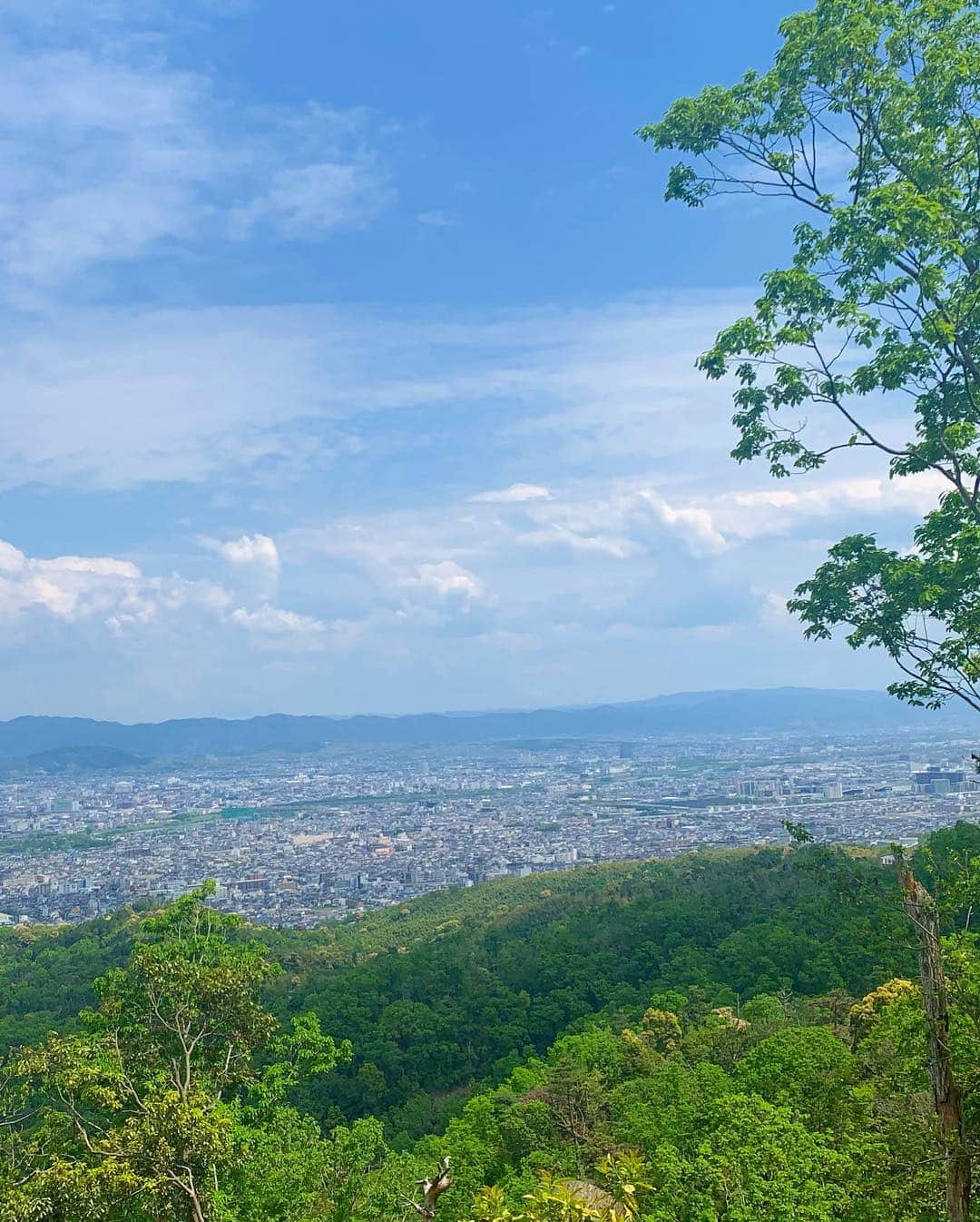 中村葵さんのインスタグラム写真 - (中村葵Instagram)「＊ ＊ 今日は家族とプチ登山⛰ ・ たまに犬のお散歩に行く山へ😊✨ 京都市内が一望できて、展望がいいんです^_^！！ ・ 今からの季節は大好きな季節！！ 山の緑がとても綺麗！！🍀⛰ 新緑の季節✨ お花も綺麗な時期ですね^ - ^ ＊ ＊ #登山 #ハイキング #山登り #お散歩 #山ガール #登山女子 #山登り好きな人と繋がりたい #低山 #低山ハイク #そろそろ高い山に行きたい  #thenorthface #instagood #instaview #japantrip #kyoto」5月6日 16時14分 - aoinakamura123
