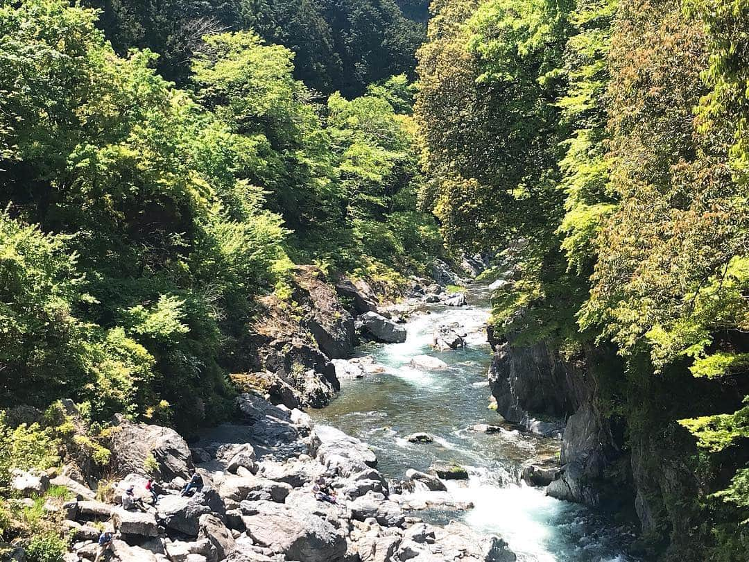 日下裕江さんのインスタグラム写真 - (日下裕江Instagram)「鳩ノ巣渓谷  はとのすこばしが見える川付近｡:ஐ⋆* 鳩ノ巣駅降りてすぐ 大自然が広がってて 気持ちいい✨  #鳩ノ巣渓谷 #はとのすこばし #鳩ノ巣小橋 #鳩ノ巣駅スタート」5月6日 16時47分 - hiroe___h