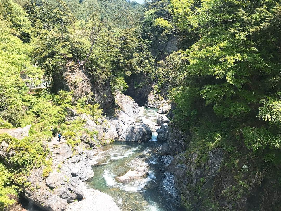 日下裕江さんのインスタグラム写真 - (日下裕江Instagram)「鳩ノ巣渓谷  はとのすこばしが見える川付近｡:ஐ⋆* 鳩ノ巣駅降りてすぐ 大自然が広がってて 気持ちいい✨  #鳩ノ巣渓谷 #はとのすこばし #鳩ノ巣小橋 #鳩ノ巣駅スタート」5月6日 16時47分 - hiroe___h