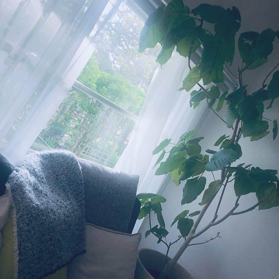 Hiroe Hiranoさんのインスタグラム写真 - (Hiroe HiranoInstagram)「葉山の休日の朝。on the bed🛏 鳥のさえずり🕊子供の声☺️ 波の音🌊木の葉の音🍃 はい、平和のかたまりです🌏 . ヒノキのベットでゴロゴロ。 気持ちいい〜❤️窓から見える新緑がキラキラ✨🌱 . 沢山エネルギーチャージできる。 お部屋で #リトリート してる感覚。 . リビングに自分よりも高い8年一緒に住んでる #ウンベラータ の木。 ベットルームにも新たな木を招きました🌳 . . コーヒー☕️作って。 朝の豆の香りがたまらんです😎 好きな映画を流してスタート🎬 . 寝具やリビングも必要最低限な好きなものだけ。 . 居心地の気持ち良さを追求してるので、 #タッチアンドゴー と呼ばれていた私も（笑） 葉山に引っ越して家が大好きに❤️❤️ . さ。夕方は、サンセット見に行こう🌞 . #海のある生活 #木が好き #葉山 #hiroestyles #hiroecali #organic #オーガニック #healthy #lifestyle #wellness #wellbeing #平野宏枝 #ウェルネス #ウェルビーイング」5月6日 16時57分 - hiroe_hirano