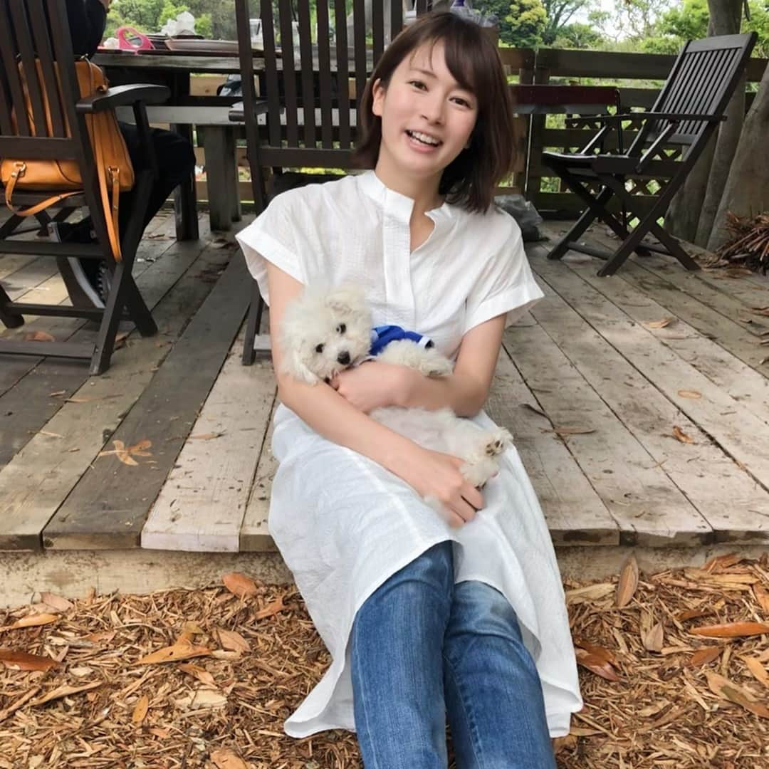 宇内梨沙さんのインスタグラム写真 - (宇内梨沙Instagram)「週末、🐶のもとへ✨  １日、もはや半日でも休みが あろうものなら会いに帰ります。  私のこと忘れて欲しくないのです🥺  この前購入したベイスターズの ユニフォーム着せました。可愛すぎ☺️ . ほかの🐶ちゃんと遊ぶのが 大好きなのでドッグランへ🏃‍♂️ . 果敢に挑むも返り討ちに されるのがうちの子のパターン👀  ドッグランだと 自由に過ごせるから楽しそうです。 . 🐶度高めのインスタになりつつありますが… 🐶好きの方はお付き合いくださいませ🙇‍♀️笑  １０連休最終日 さすがにゆっくり過ごされてる方が 多いんでしょうか？  素敵な１日お過ごしください〜✨ . 夜はNEWS23みてね〜✨ . #ビションフリーゼ #生後もうすぐ4ヶ月 #すっくすく育つよ〜 #ぽんぽこお腹も可愛いよ〜 #強気なのに甘えん坊で #我が家のまさにお姫様〜」5月6日 16時52分 - risaunai