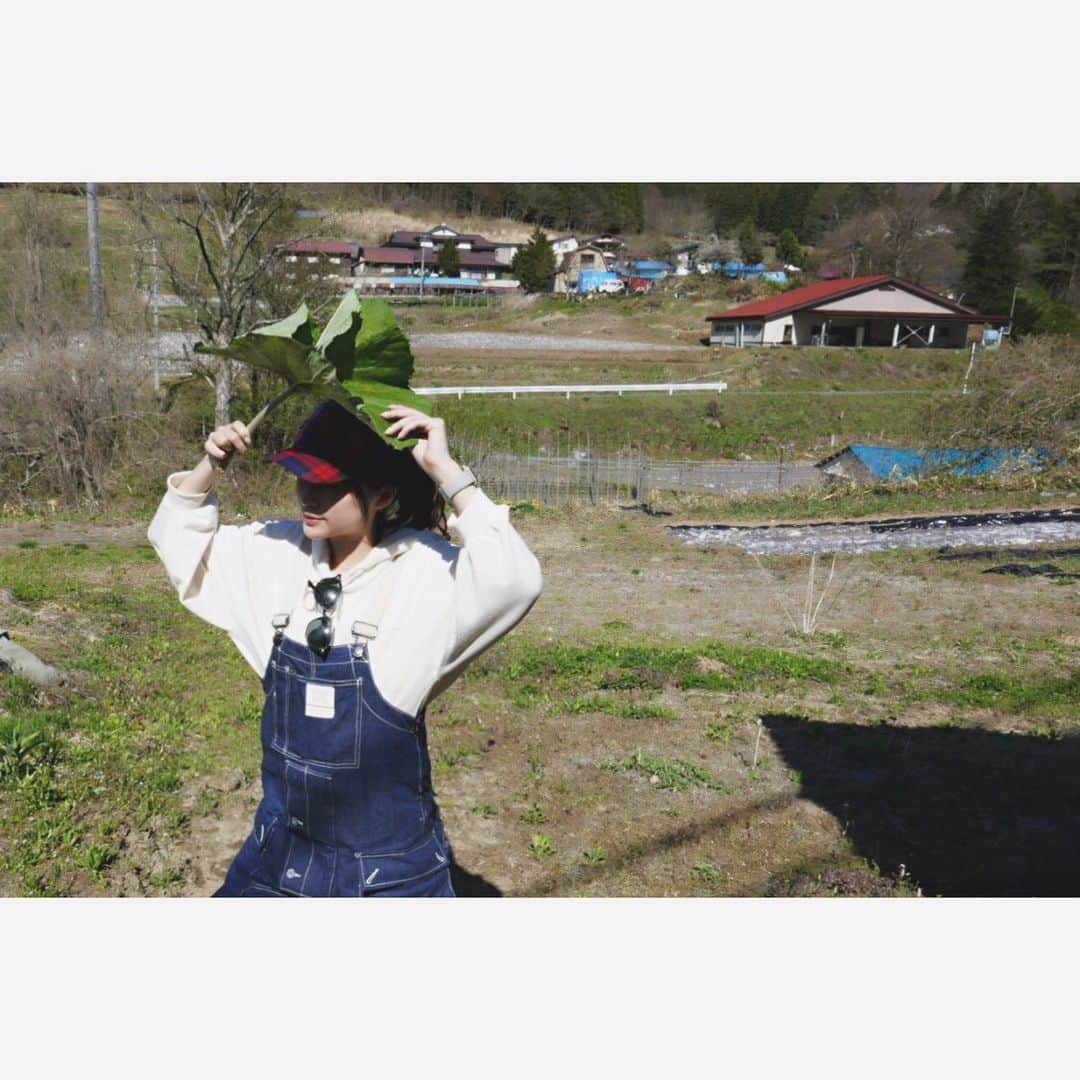 あゆかさんのインスタグラム写真 - (あゆかInstagram)「ばぁちゃんのおうちで山遊びと山菜採り🌱🌱🌱 . . #岩手 #花 #撮影 #カメラ #自然 #風景 #instagood  #photooftheday #beautiful #picoftheday #instadaily #nature #instalike #family #photography #holiday #山 を黙々と歩くだけの動画 #ちょっとそこまで #ようやく春が来た #山の奥まで行ったら獣臭かったので折り返しました … #電波はもちろん入りません 。笑 #最近山にばかりいるなぁ」5月6日 16時55分 - ayuka_23