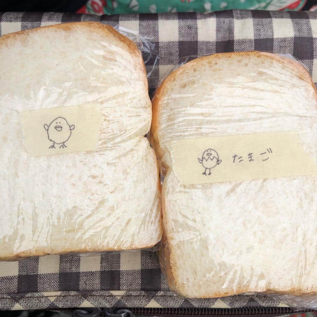 宙也さんのインスタグラム写真 - (宙也Instagram)「ハニー特製サンドイッチ。」5月6日 16時55分 - chuya_aquarius