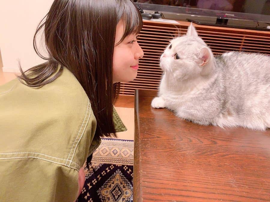 松岡はなのインスタグラム：「さっしーさんの猫さん。 1週間ぶりくらいにさっしーさんに会えました。 すっごく嬉しくってずっと幸せな気持ちでいっぱいでした。  ふふふ〜んっ❤︎ 明日からまた頑張ります☺︎！」