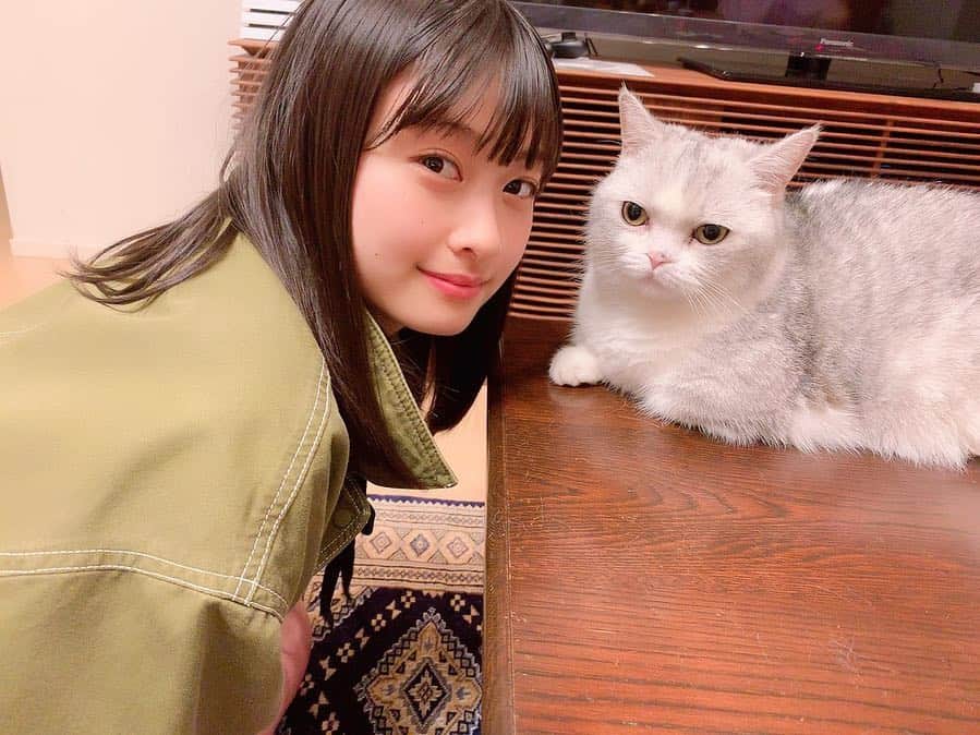 松岡はなさんのインスタグラム写真 - (松岡はなInstagram)「さっしーさんの猫さん。 1週間ぶりくらいにさっしーさんに会えました。 すっごく嬉しくってずっと幸せな気持ちでいっぱいでした。  ふふふ〜んっ❤︎ 明日からまた頑張ります☺︎！」5月6日 17時03分 - hana_matsuoka_