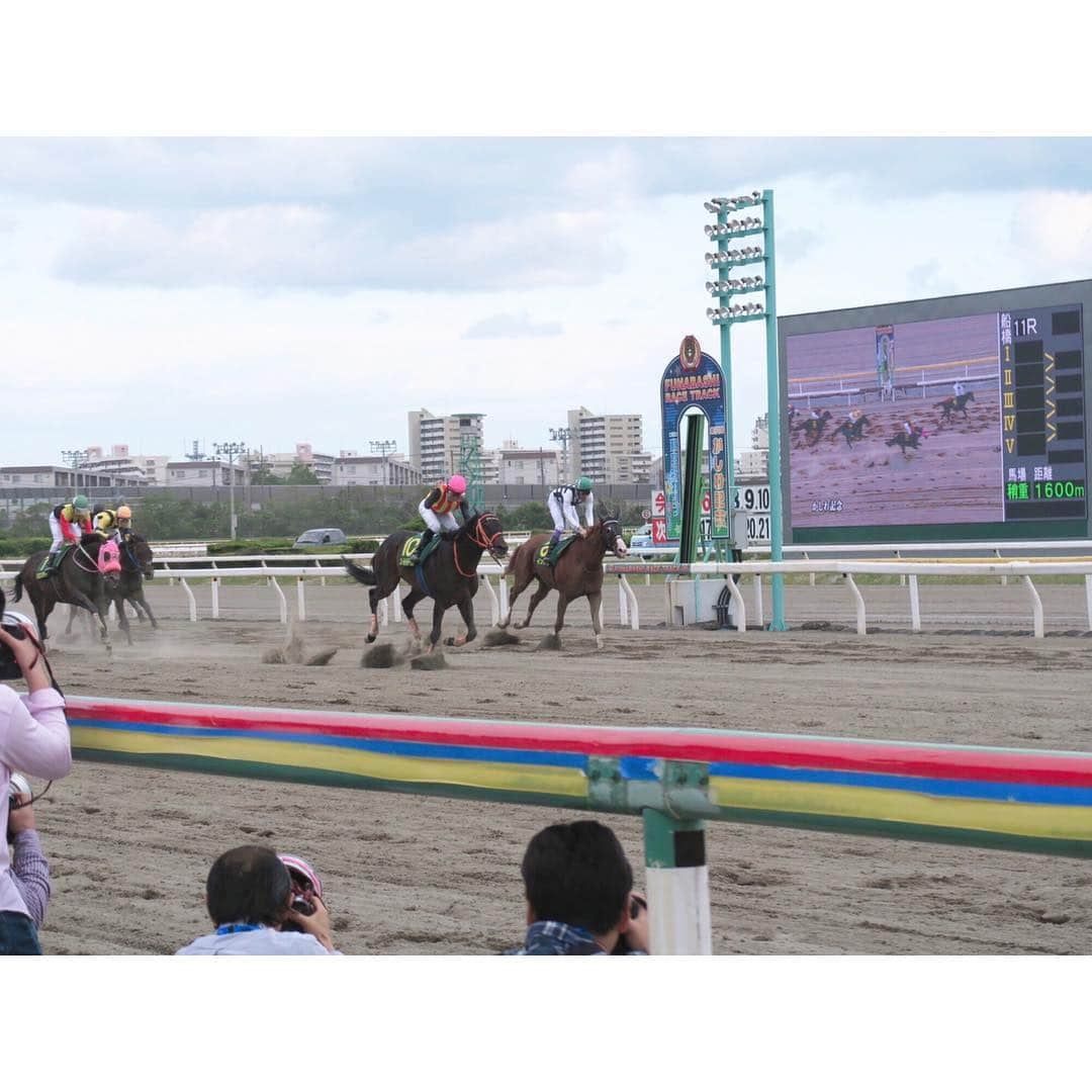 津田麻莉奈さんのインスタグラム写真 - (津田麻莉奈Instagram)「第31回かしわ記念 🏇 ゴールドドリームが昨年に続き連覇となりました✨ 関係者の皆さまおめでとうございます🥰 次走は昨年同様帝王賞を予定していると言うことです🏇 ⁑ #かしわ記念 #ゴールドドリーム #本命だったのに #アポロケンタッキー抜けて外れ #やってもうた #船橋競馬場 #船橋 #地方競馬 #競馬 #楽天競馬  #まりなる #津田麻莉奈」5月6日 17時18分 - tsudamarinal