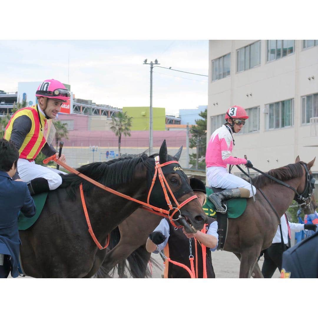 津田麻莉奈さんのインスタグラム写真 - (津田麻莉奈Instagram)「第31回かしわ記念 🏇 ゴールドドリームが昨年に続き連覇となりました✨ 関係者の皆さまおめでとうございます🥰 次走は昨年同様帝王賞を予定していると言うことです🏇 ⁑ #かしわ記念 #ゴールドドリーム #本命だったのに #アポロケンタッキー抜けて外れ #やってもうた #船橋競馬場 #船橋 #地方競馬 #競馬 #楽天競馬  #まりなる #津田麻莉奈」5月6日 17時18分 - tsudamarinal