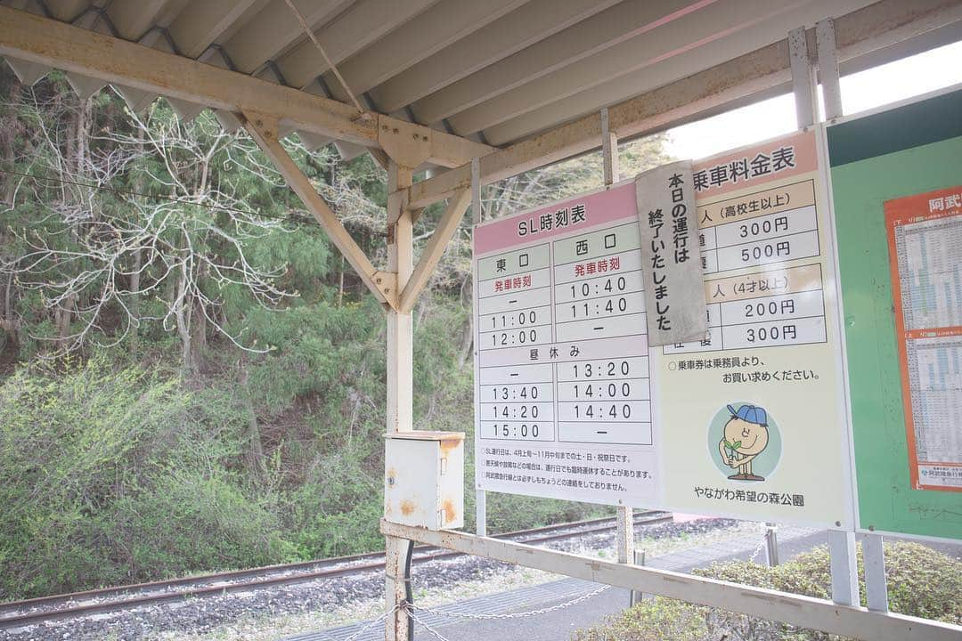 東北女子さんのインスタグラム写真 - (東北女子Instagram)「. 福島賞櫻part5:#やながわ希望の森公園 . 應該是這系列交通最方便的地方，但網路上都沒什麼資料🤔 當天人也很少，跟上一個庭院一樣都是很棒的秘境❣️ . 假日還可以體驗迷你蒸汽火車，適合帶小孩來玩🙌 . . Yanagawa希望之森公園 📍交通：從阿武隈急行 #やながわ希望の森公園前駅 徒步10分鐘 📍入園免費，24小時開放 . . 📷2019.04.18 . 福島賞櫻系列到此為止，希望對大家未來的賞櫻之旅有所幫助😆 . . . #日本東北 #東北女子travel #福島 #伊達市 #福島縣 #阿武隈急行 #東北旅行 #賞櫻 #東北花見 #日本自助 #東北賞櫻 #日本賞櫻 #SL列車 #行くぜ東北 #春の東北インスタキャンペーン #東北女子 #tohoku #fukushima　#fukushimacity　#wakufuku」5月6日 17時28分 - tohoku_girl_official