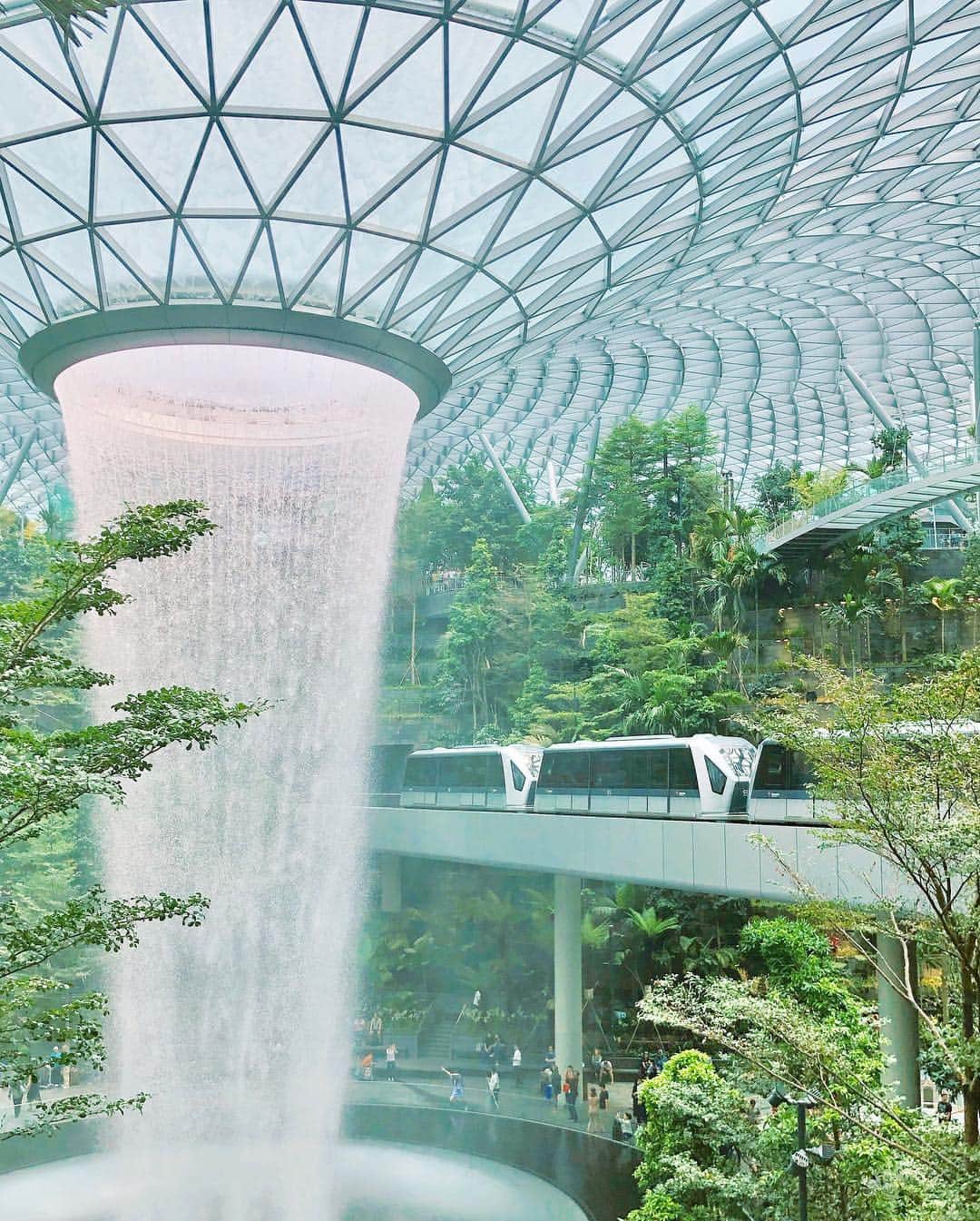 畑田亜希さんのインスタグラム写真 - (畑田亜希Instagram)「🦋Juwel 🦋やっと来れた💜 ・ ・ Changi airport ✈️ ・ ・ 40mの滝と植物のマイナスイオンが💚🌳🌲🍀 ・ ・ #2019 #sg #juwel #changiairport #マイナスイオン」5月6日 17時45分 - akihatada