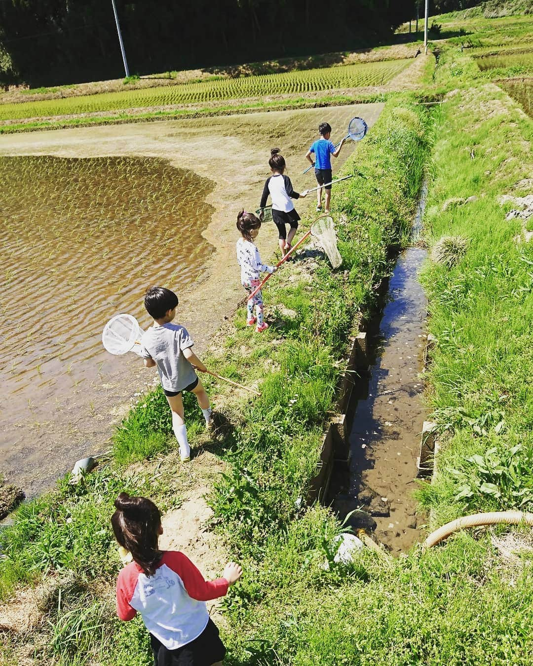 西山茉希さんのインスタグラム写真 - (西山茉希Instagram)「残る写真達に緑がいっぱい。  #こーゆーこと #そーゆーこと  10連休のラストに、 泥んこになって遊んだ。  #人と #自然と #美味しいごはん  小さな探検隊達に染み込めーー。  裸足で田んぼに入ってね、 湧き水で手を洗ってね、 あった家族とBBQ。  #不細工に仕上がった田んぼが愛しい #これがお米になるんだよ #新潟娘が千葉娘日和 #多古町 #多古米 #美味しくなーれ  タケノコ堀りに散歩して、 タケノコ名人プロすぎて、 そっくりな二人が山案内。  そーゆーしあわせ。 ありがたきしあわせ。  #人の実家 #多古町の実家 #田植えツアー #ママパパお兄ちゃんお姉ちゃん #ありがとうございました！！！ 最高だったぁ( ´ー`)⭐⭐⭐」5月6日 17時52分 - maki.nshiyama50