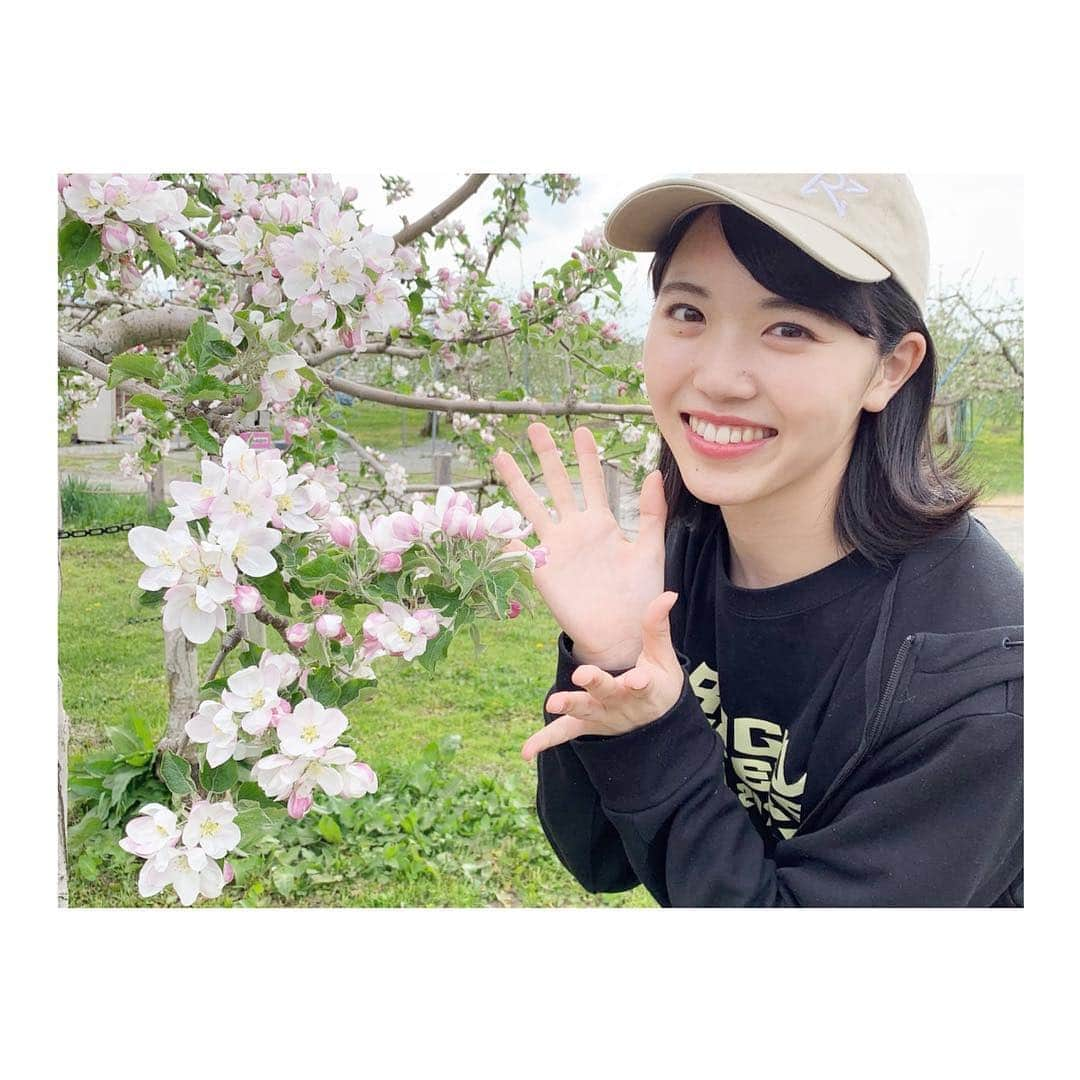 彩香のインスタグラム