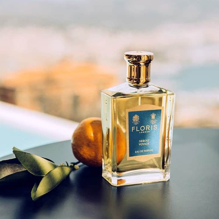 フローリスさんのインスタグラム写真 - (フローリスInstagram)「Neroli Voyage opens with a citrus burst of neroli. Extracted from blossom of the bitter orange tree, neroli fragrances are cherished for their uplifting value, intensified in this fragrance by a spike of lemon and ginger and complemented by marine notes for added sea breeze freshness. #FlorisLondon #NeroliVoyage #NewIn #Neroli #SummerFragrance #SummerScent #Perfume #Fragrance #Scent #NeroliFragrance #CitrusScent #London」5月6日 18時00分 - florislondon