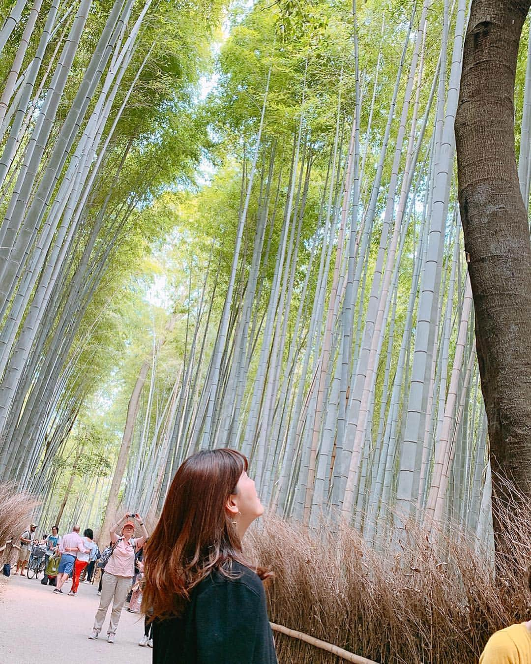 上坂由莉さんのインスタグラム写真 - (上坂由莉Instagram)「. . GW最終日✨のんびり京都・嵐山へ😌🌿 トロッコ乗ったり、竹林歩いたりゆっくり🎋 なん年ぶりかの嵐山🍵やっぱり素敵👘🌱 . #翠嵐ラグジュアリーコレクションホテル京都 #翠嵐 #京都 #嵐山 #竹林 #竹林の小径 #お散歩 #寺子屋本舗 #家族旅行」5月6日 18時10分 - yuri_yoga.727