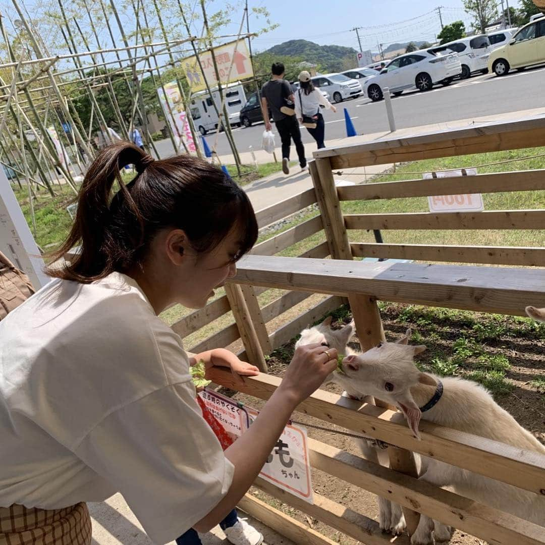 奥仲麻琴さんのインスタグラム写真 - (奥仲麻琴Instagram)「子ヤギかわいかった🐐  #保田小学校」5月6日 18時28分 - okunaka_makoto