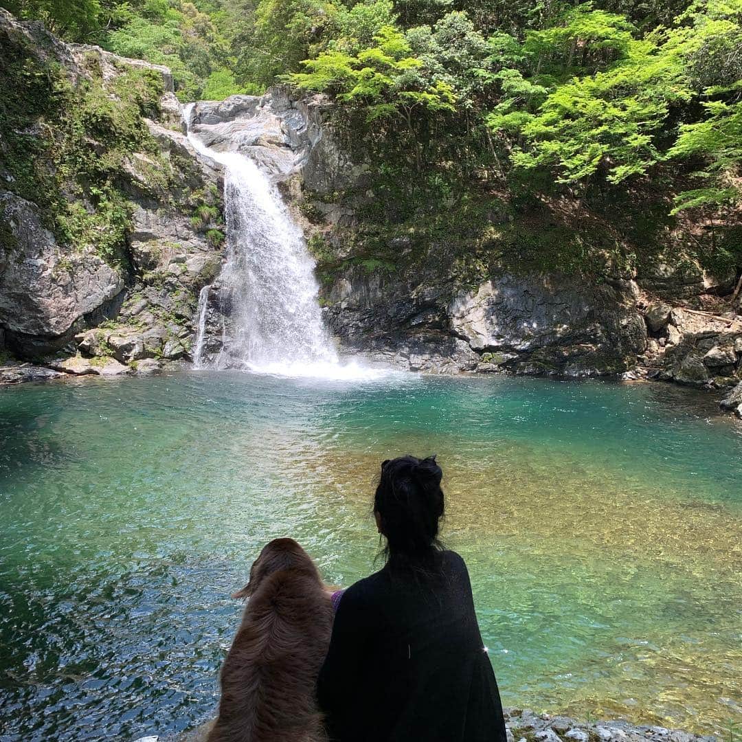 松田美由紀さんのインスタグラム写真 - (松田美由紀Instagram)「GWは緑を求めてワンコと旅にでました！美しかったー！」5月6日 18時41分 - matsudamiyuki