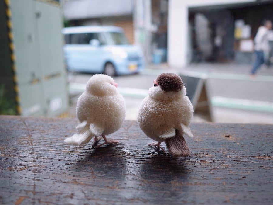 黒田翼（動物ぽんぽん）さんのインスタグラム写真 - (黒田翼（動物ぽんぽん）Instagram)「. たのしかったフェアも、ひとまず今日でおしまい。 これからは、かわりに文鳥たちが在廊しますよ。  4月10日から 本とコーヒーtegamishaさん にて開催していただいた出版記念フェア、本日無事終了となりました。会期中お立ち寄りくださった皆さま、ワークショップにご参加くださった皆さま、お気にかけてくださった方々、友人、家族。たくさんの出逢いをくれたこの場所や、サポートしてくださった皆々さまに感謝です。 ありがとうございました！  See you soon, thank you!  #小鳥ぽんぽん #小鳥ぽんぽんフェア #本とコーヒーtegamisha #白文鳥 #シナモン文鳥 #誠文堂新光社#javasparrow #trikotri #trikotripompom #視線の先が焼き鳥屋」5月6日 18時43分 - trikotri222