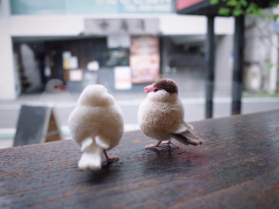 黒田翼（動物ぽんぽん）さんのインスタグラム写真 - (黒田翼（動物ぽんぽん）Instagram)「. たのしかったフェアも、ひとまず今日でおしまい。 これからは、かわりに文鳥たちが在廊しますよ。  4月10日から 本とコーヒーtegamishaさん にて開催していただいた出版記念フェア、本日無事終了となりました。会期中お立ち寄りくださった皆さま、ワークショップにご参加くださった皆さま、お気にかけてくださった方々、友人、家族。たくさんの出逢いをくれたこの場所や、サポートしてくださった皆々さまに感謝です。 ありがとうございました！  See you soon, thank you!  #小鳥ぽんぽん #小鳥ぽんぽんフェア #本とコーヒーtegamisha #白文鳥 #シナモン文鳥 #誠文堂新光社#javasparrow #trikotri #trikotripompom #視線の先が焼き鳥屋」5月6日 18時43分 - trikotri222