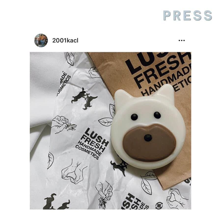 PRESSさんのインスタグラム写真 - (PRESSInstagram)「コストコのテディベアが人気🧸﻿ くたっとしたフォルムが可愛い♡﻿ ﻿ 可愛いくまさんアイテムを﻿ まとめてご紹介🐻🐻﻿ ﻿ くまを見つけたら﻿ タグ付けして教えてくださいね♡﻿ ﻿ ﻿ —————————————————— ㅤ﻿﻿ ﻿﻿ お気に入りの写真に @pressblog #pressblog をㅤ﻿﻿ タグ🏷して投稿してください♡﻿﻿ PRESS公式アカウントでㅤ﻿﻿ あなたのアカウントをご紹介致します! ㅤ﻿﻿ ㅤ﻿﻿ ——————————————————﻿﻿ ﻿ #くま #くま🐻 #くまさん #テディベア #テディベア🐻 #くまクッキー #ベアー #ラッシュ #コストコ #コストコ購入品 #コストコ大好き #コストコで購入 #コストコくま #おうちカフェ #クッキー作り #クッキー #クッキー🍪 #手作りお菓子 #手作りクッキー #pressblog」5月6日 18時47分 - press.inc