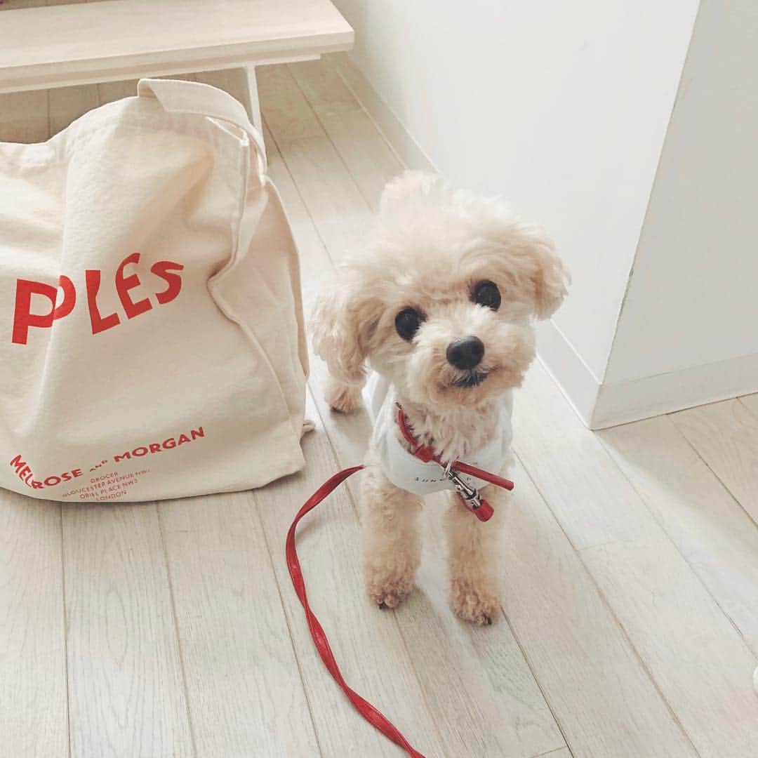 mizuのインスタグラム：「元気になって良かった☺︎」