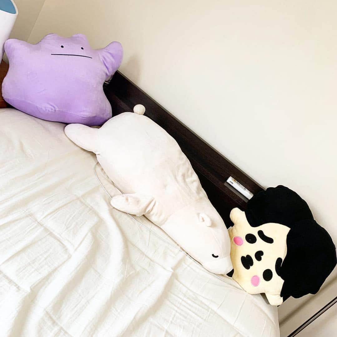 かわうちきっぺいのインスタグラム：「こいつらが俺を悪夢から守ってくれる。 #と信じてる」