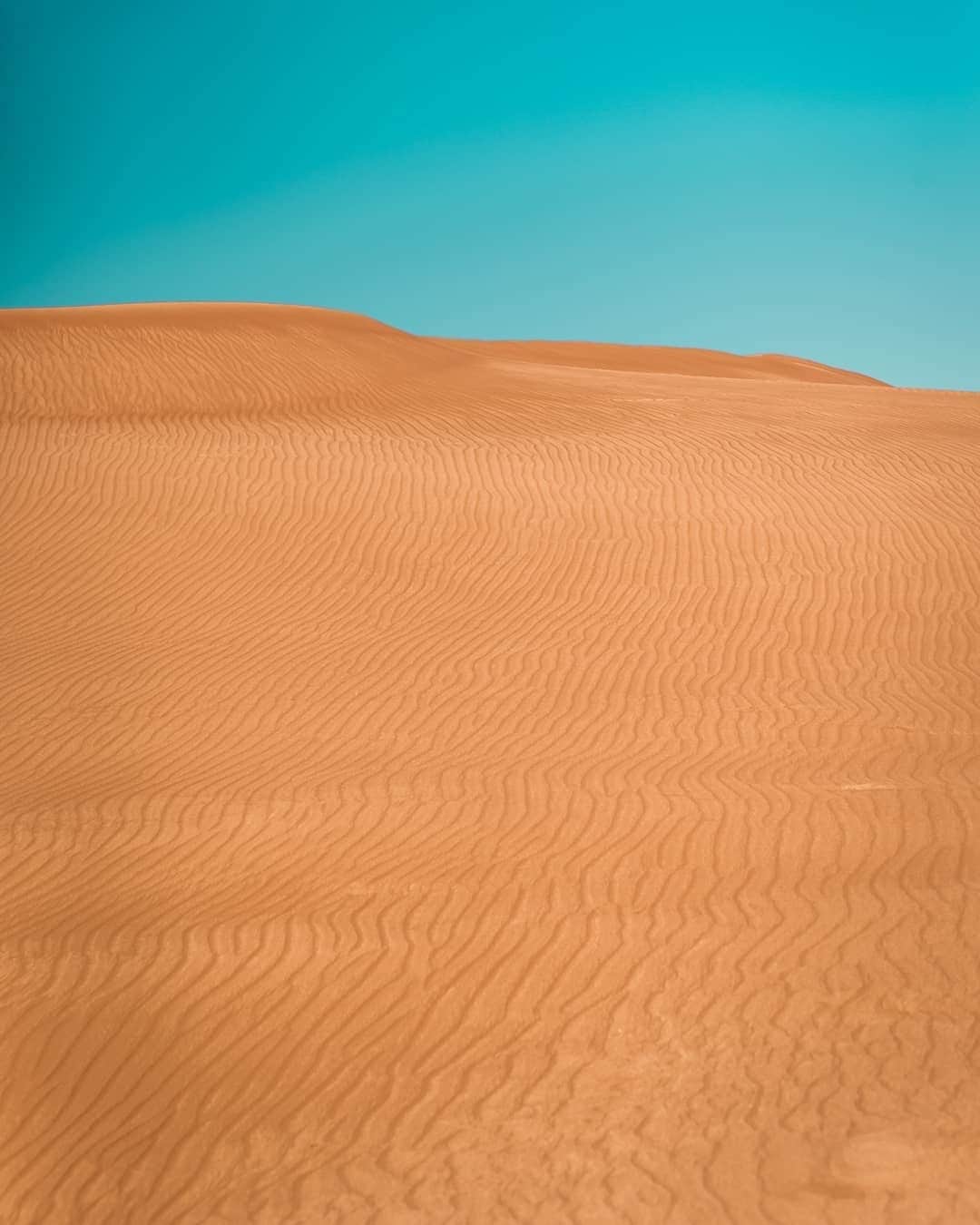 山下歩さんのインスタグラム写真 - (山下歩Instagram)「ドバイの砂漠にはたくさんのラクダ！地元の鳥取砂丘とは全然雰囲気が違った笑っ 個人的にはドバイの街よりも砂漠の方がとても良くて、特にSUV車で砂漠を走りまわるのが楽しすぎた。また動画あげるのでお楽しみにー！  @msccruisesofficial  #MSCExcursions #MSCMagnifica #MSCクルーズ #paidpartnership #ドバイ #dubai photo credit: @likathetika」5月6日 19時02分 - ayumu822