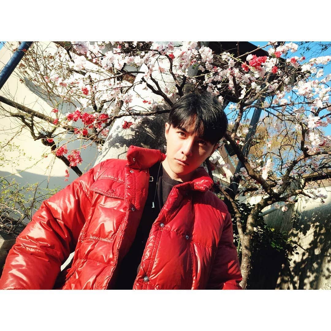 ダンソン・タンのインスタグラム：「需要陽光🕶 #DT #唐禹哲 #SEVENDAYS #HOTHEART」
