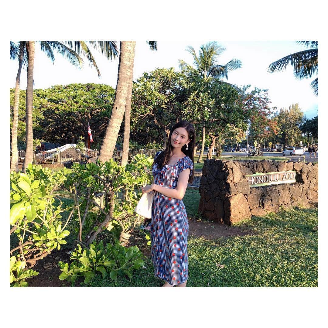 チョン・ソミンのインスタグラム：「💚🌴🌳🌵🌲🌱🌿☘️🍀🍃💚」