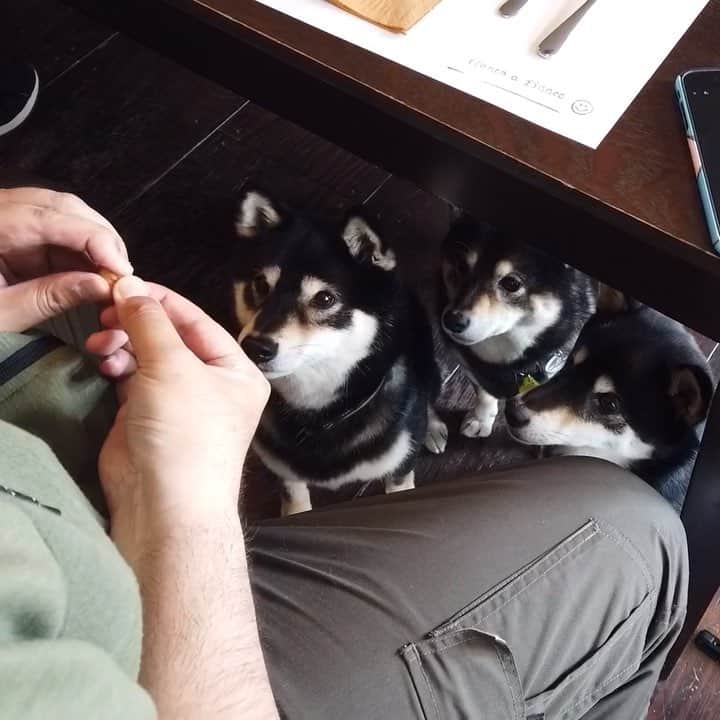 吾子のグルメインスタ