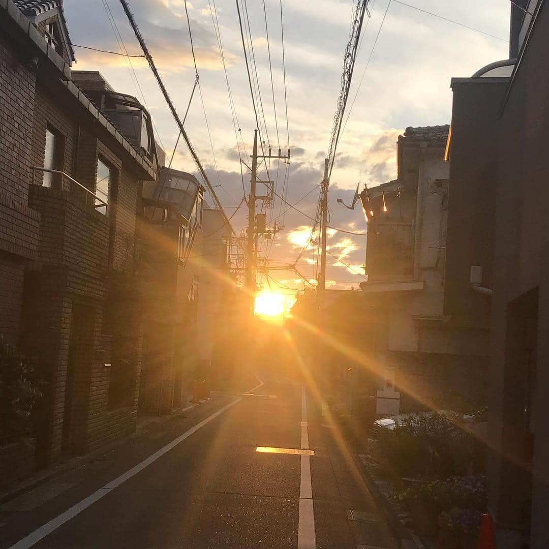 坂本美雨さんのインスタグラム写真 - (坂本美雨Instagram)「「今、ゆうがたー？」って聞いてくるのが好き。」5月6日 19時34分 - miu_sakamoto