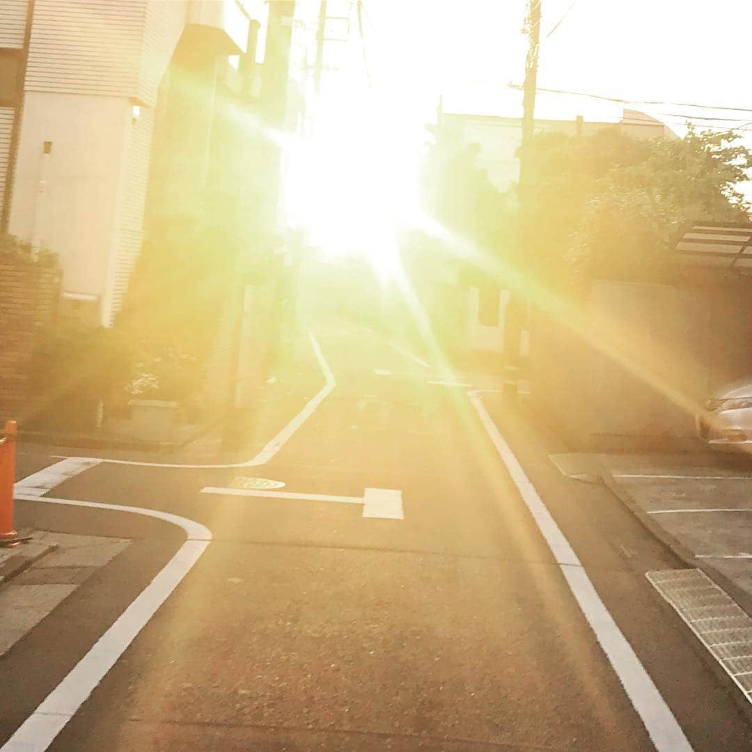 坂本美雨さんのインスタグラム写真 - (坂本美雨Instagram)「「今、ゆうがたー？」って聞いてくるのが好き。」5月6日 19時34分 - miu_sakamoto